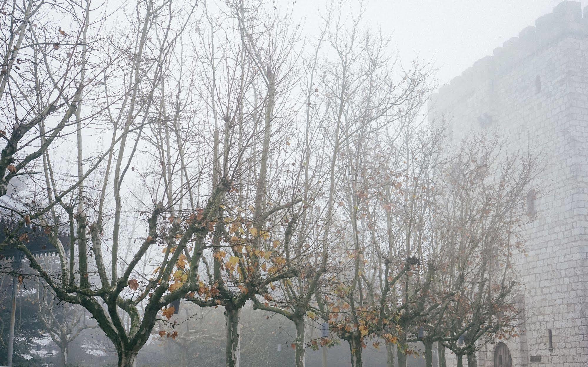 Landa Hotel Burgos Luaran gambar Trees in winter