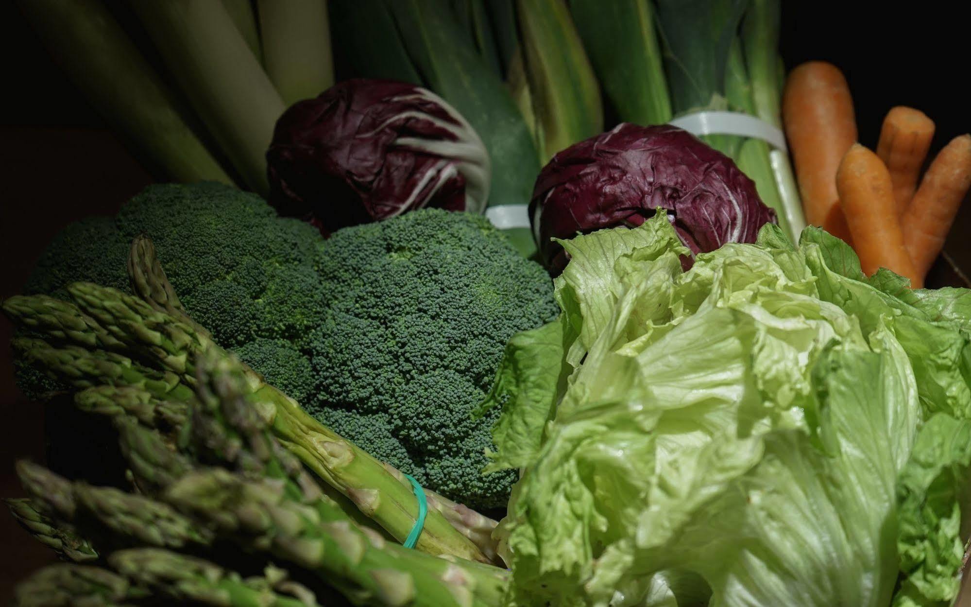 Landa Hotel Burgos Luaran gambar Vegetables